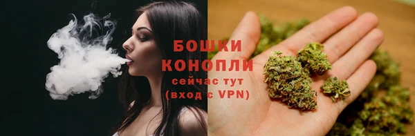 ALPHA-PVP Алексеевка