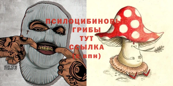 apvp Абинск
