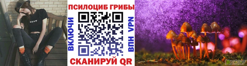 Галлюциногенные грибы Psilocybine cubensis  Кирсанов 